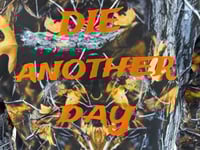 Image 3 of DIE ANOTHER DAY HOODIE