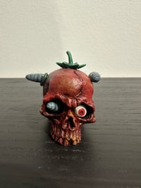 Image 1 of #48 Craneo Tomatudo