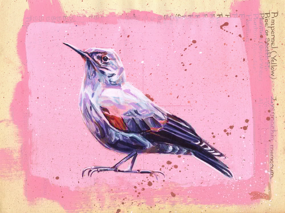 Tichodrome échelette peinture acrylique originale- Wall creeper original acrylic painting