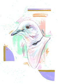 Image 2 of Print encadrée colombe à collier- RIng neck dove framed print