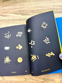 Image 6 of PASTINA di  Emi Ligabue - marinonibooks