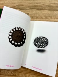 Image 3 of BOTTONI  di Gabriella Giandelli - marinonibooks