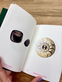 Image 5 of BOTTONI  di Gabriella Giandelli - marinonibooks