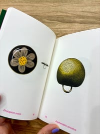 Image 6 of BOTTONI  di Gabriella Giandelli - marinonibooks