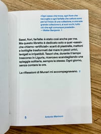 Image 2 of SASSI ARTIFICIALI  di Antonio Marinoni - marinonibooks