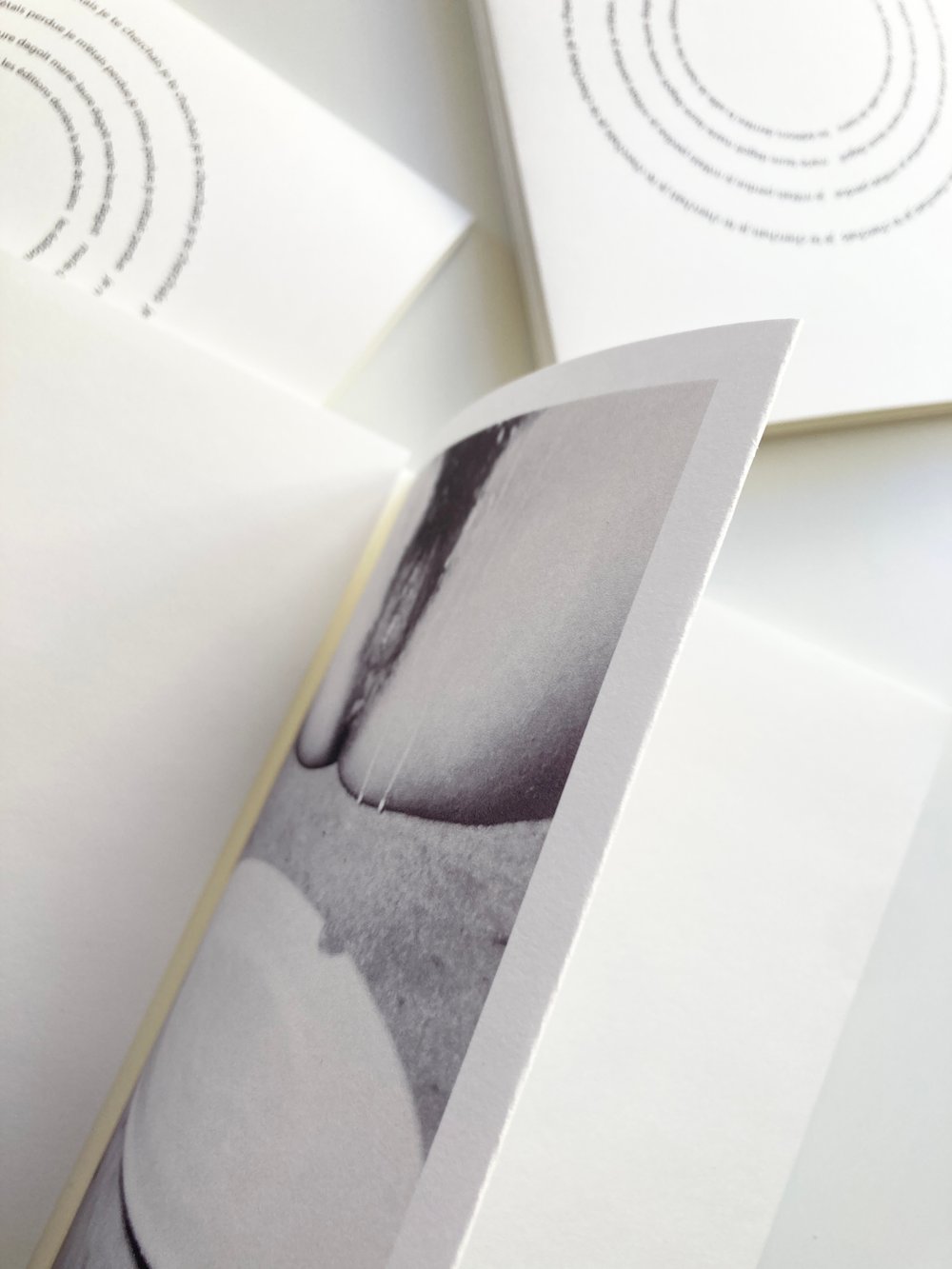 Image of LOUPE