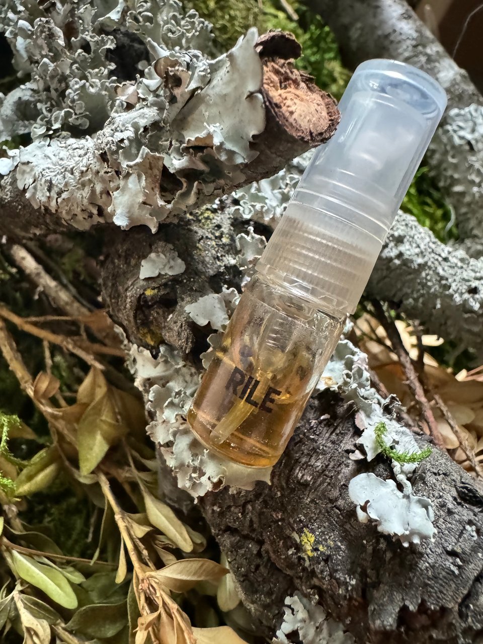 Marginalia - Sample | CLST Perfumes