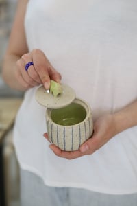 Image 1 of Dino sugar/salt box.