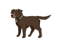 Image 2 of Labrador Sticker