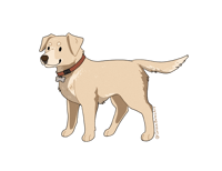 Image 4 of Labrador Sticker