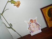 Image 4 of TRANSFIGURATION STICKER