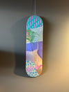 SKATE BOARD 2025 3