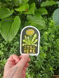 Image 1 of Dandelion Still Here Sticker