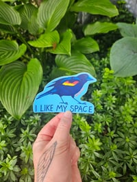 Image 1 of Red-Winged Blackbird Sticker