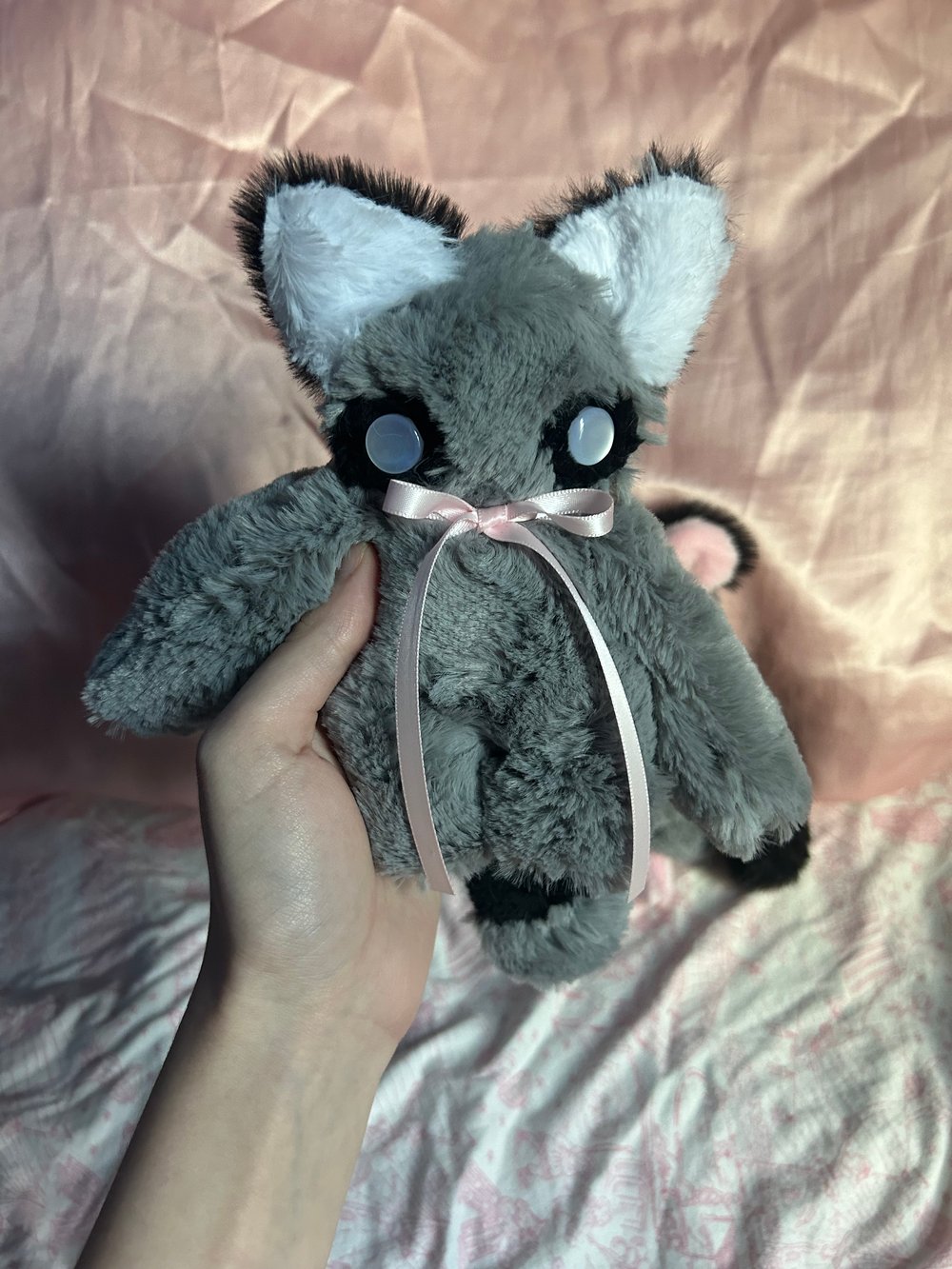 Image of reggie the racoon 🦝