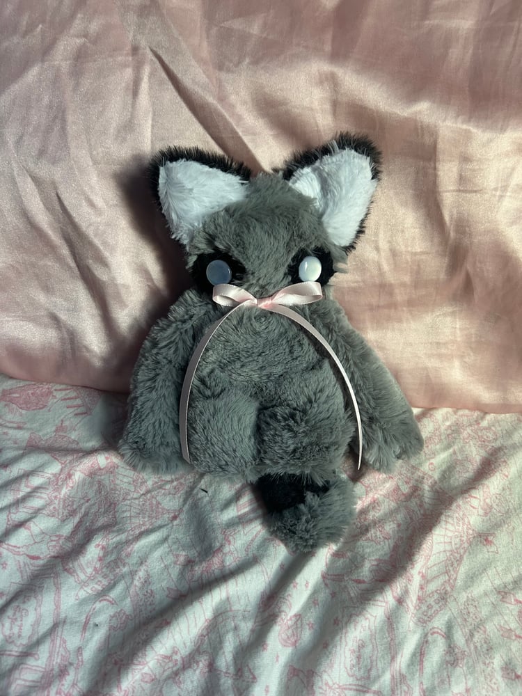 Image of reggie the racoon 🦝 