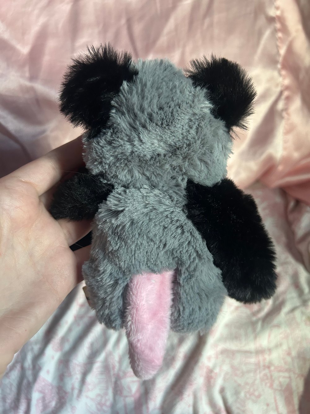 Image of poppy the opossum