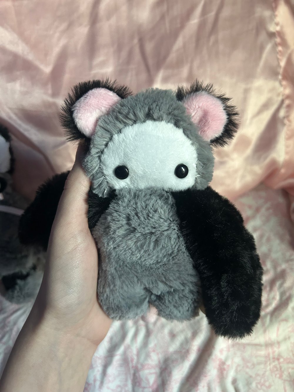 Image of poppy the opossum