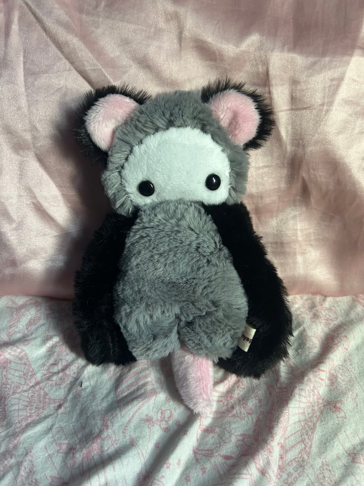 Image of poppy the opossum