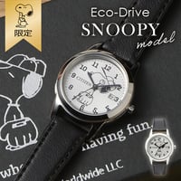 Image 1 of CITIZEN Eco-Drive Watch – Limited Edition (250 pieces only!)