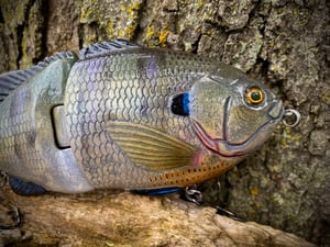 Image of 8” Presence Gill Xslowsink (Bull Male)