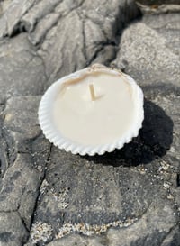 Image 3 of THE BEACHY COLLECTION 