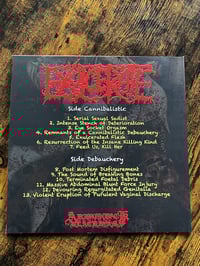 Image 3 of Exulcerate - "Remnants of a Cannibalistic Debauchery" 12" vinyl LP