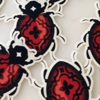 Image 2 of Mariquita 