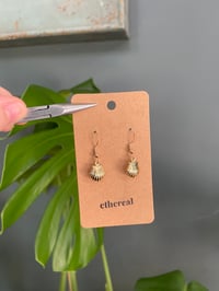 Image 1 of Golden Shell Earrings