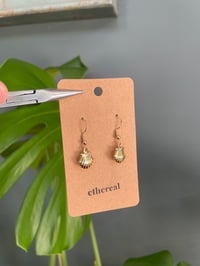 Image 4 of Golden Shell Earrings