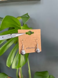 Image 1 of Silver Shell Earrings