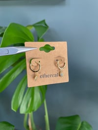 Image 1 of Everyday Gold Star Hoop Earrings