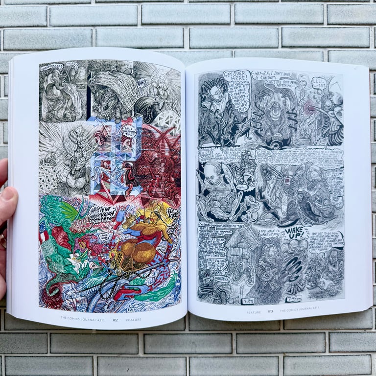 The Comics Journal #311 Image 4