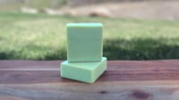 Eucalyptus Mint Salt Bar