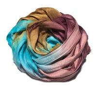 Image 1 of Ready To Ship! 10YD. DRAGONFLY HAND DYED SARI SILK RIBBON BY COLOR BURST SILK