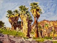 Golden Hour at Indian Canyon