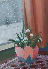 Scottish Snowdrops