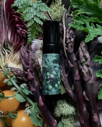 Image 1 of 𝔊𝔬𝔱𝔥 𝔊𝔞𝔯𝔡𝔢𝔫 II: 𝔸𝕧𝕒𝕟𝕥 𝔾𝕒𝕣𝕕𝕖𝕟 ❦