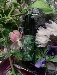 Image 2 of 𝔊𝔬𝔱𝔥 𝔊𝔞𝔯𝔡𝔢𝔫 II: 𝔸𝕧𝕒𝕟𝕥 𝔾𝕒𝕣𝕕𝕖𝕟 ❦