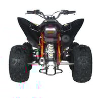 Image 3 of PENTORA 200 EFI