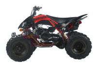 Image 5 of PENTORA 200 EFI