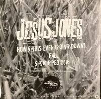 Image 2 of How's this even going down