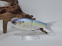 Image 1 of Crooked Tooth Customs- Snack Shad 