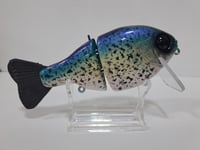 Image 2 of Crooked Tooth Customs-Wake Gill