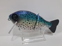 Image 3 of Crooked Tooth Customs-Wake Gill