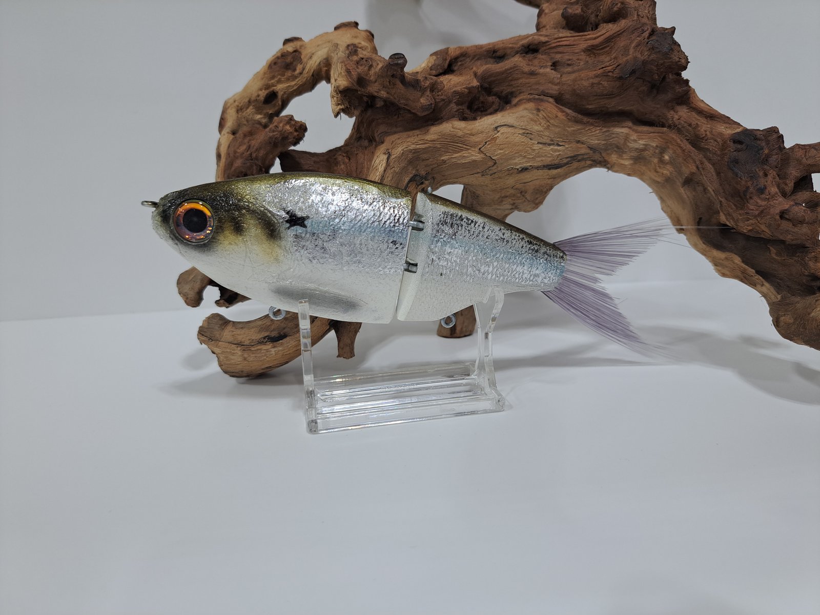 Crooked Tooth Customs- Snack Shad #33 | K&K Custom Baits