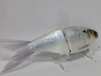 Image 3 of Crooked Tooth Customs- Snack Shad #33