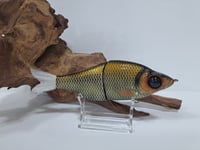 Image 1 of Lure Build- Carpathian #12