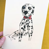 Image 1 of Pet Portrait