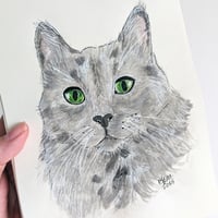 Image 2 of Pet Portrait